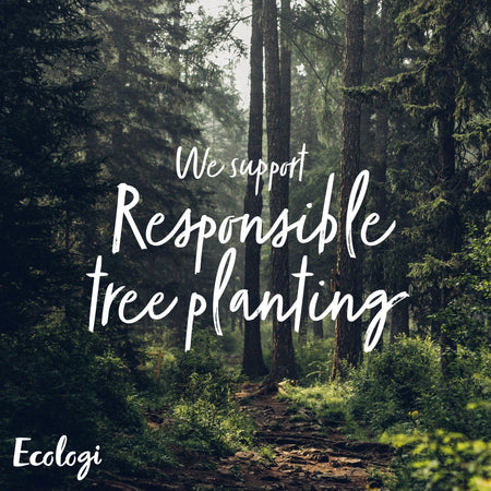 Plant One Tree With Ecologi